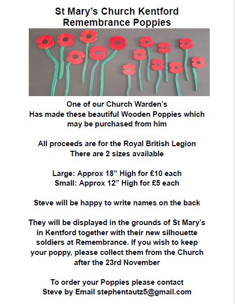 Remembrance Poppies 2024